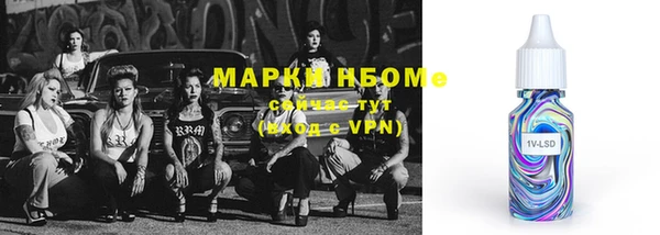 спиды Горняк