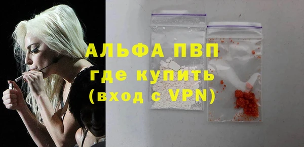 прущие грибы Верхний Тагил