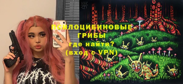 Альфа ПВП Горно-Алтайск