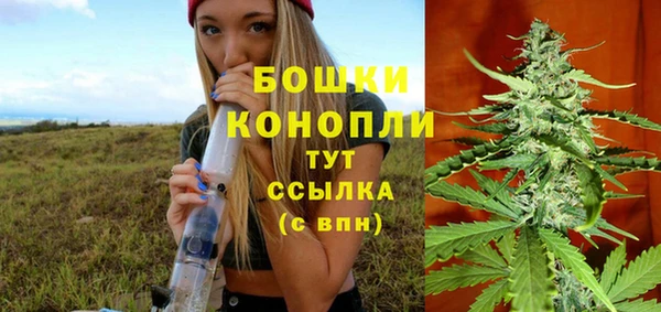 spice Вязьма