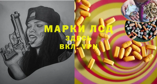 стаф Володарск