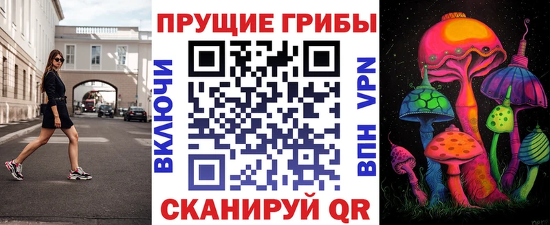 blacksprut ТОР Заводоуковск Псилоцибиновые грибы мухоморы